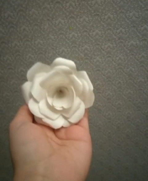fotog 20201204 WA0000 2